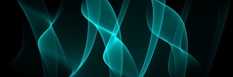QHealth: Brief description of some of the technical goals of the project
